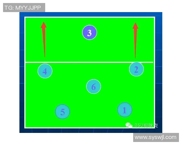 杭州排球队进攻策略分析与失误反思探讨